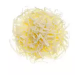 Queso Mozzarella