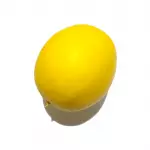 Melão Comum