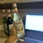 XAROPE MONIN GENGIBRE 250ML