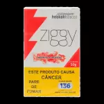 ZIGGY LARANJOLA TROPICAL