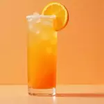 🍋🍊 Limonada / Naranjada del Rancho