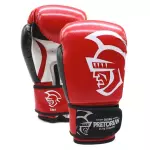 Luva de Boxe/Muay Thai Pretorian