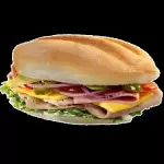 Chiapaneca