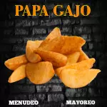 Papa Gajo