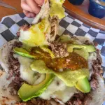 Orden de Piratitas de Bistec