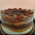 N9 NINHO COM CHOCOLATE 2,306kg