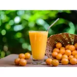 SUCO DE CAJÁ (Polpa)