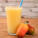 Suco de caju (300ml)