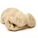 Pansa (2 libra)