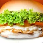 X- Vegetariano