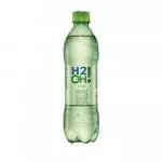H2O