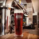 Shop Austral Calafate 500ml