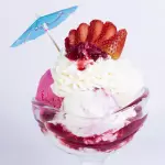 Copa Frutos Rojos