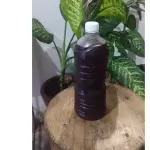 AGUA DE JAMAICA