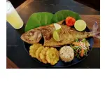 MEDREGAL FRITO 500 GRS