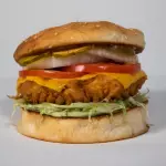 CRISPY CHICKEN