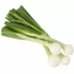 Cebolla con Tallo (1 manojo)