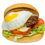 X- Egg