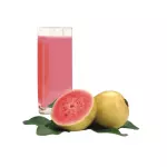Suco Natural Goiaba 300ml
