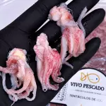 TENTÁCULOS DE LULA PREMIUM