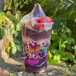 Monte seu Açaí