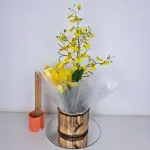 A458 Orquidea Chuva de Ouro "Encanto