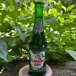 CANADA DRY GINGER ALE SODA (Botella)