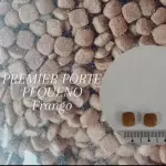 PREMIER ADULTO PEQUENO PORTE 1KG