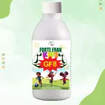 FORT FRAN GF8 KIDS