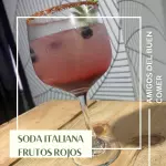 Soda Frutos Rojos