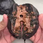 Triplo Chocolate Cookie