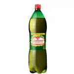 GUARANÁ ANTARCTICA 1L