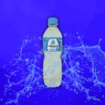 Agua Fonte da Ilha Sem Gas 600ml