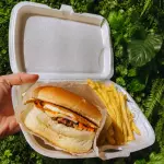 X BURGUINHO + FRITAS