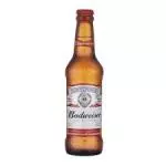 LONG NECK  BUDWEISER