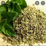 OREGANO PERUANO kg