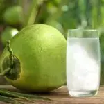 ÁGUA DE COCO