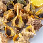 Cañaillas