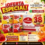 Gelatina 48unid