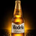 MODELO ESPECIAL