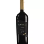PASOS LOS ANDES CARMENERE 🇨🇱