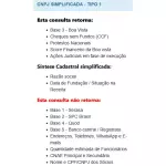 CNPJ SIMPLIFICADA - TIPO 1