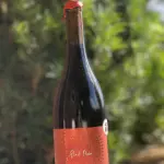 Otto Pinot Noir 🇧🇷
