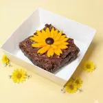 Girasol