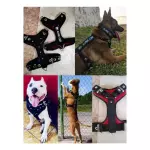 PECHERA PARA PERROS TIPO Y