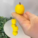 MINI MARACUJÁ