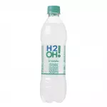 H20