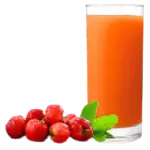 SUCO DE ACEROLA 300ML