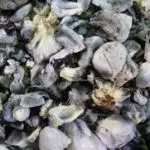 Huitlacohce