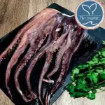 TENTACULO CALAMAR